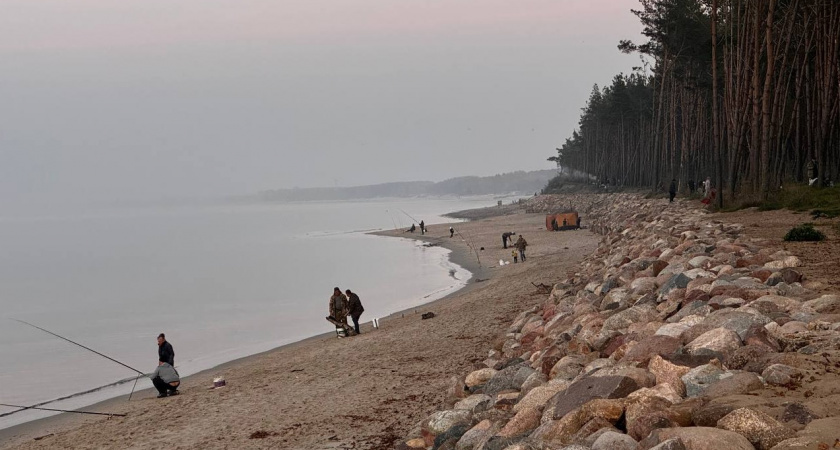 Под щитом высокого давления. Прогноз погоды в Калининграде на 5 ноября