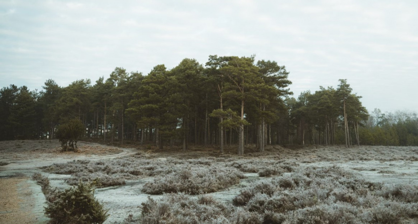 Синоптики предупредили жителей некоторых регионов России о надвигающихся погодных аномалиях