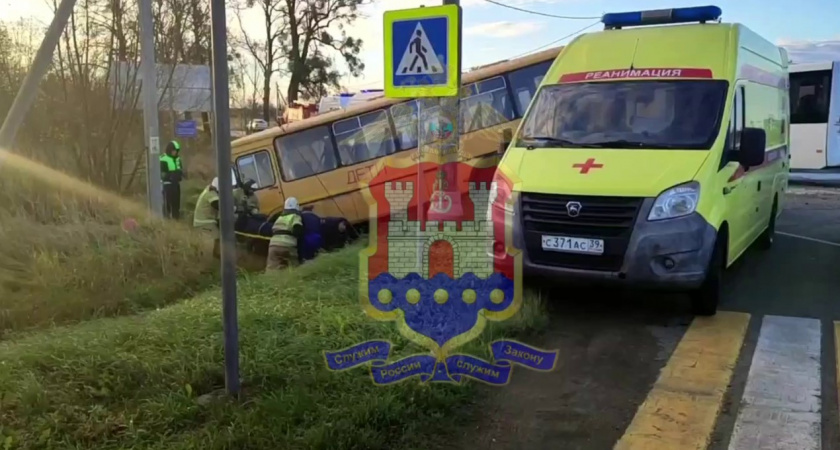 ЧП в Калининградской области: школьный автобус попал в аварию. Кадры с места и последствия