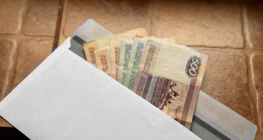 В Калининграде сотрудница учреждения для безнадзорных животных лишилась более 300 тысяч рублей