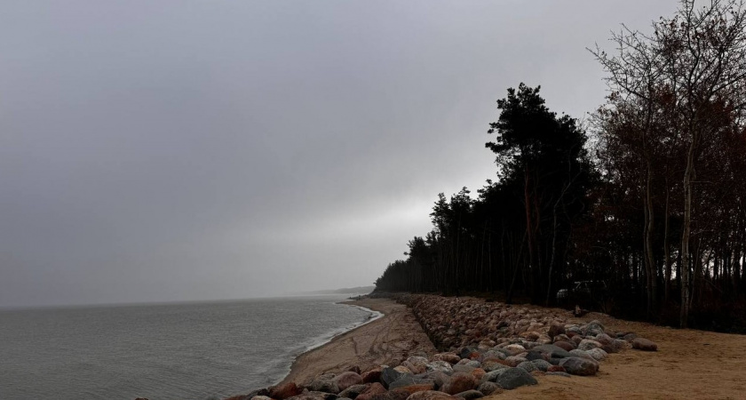 Синоптики рассказали о погоде в Калининграде на 7 ноября