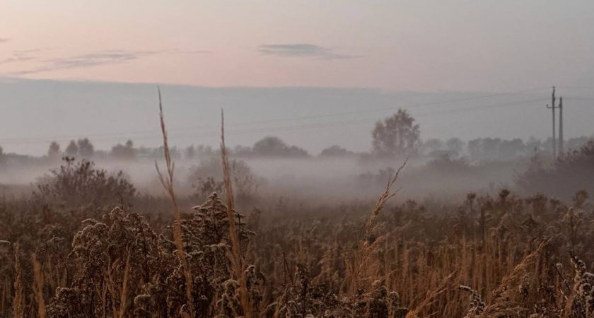 «Зайян» атакует. Прогноз погоды в Калининграде на 8 ноября