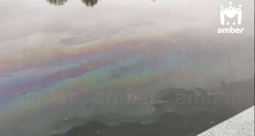 Радужная пленка на поверхности реки Преголи насторожила жителей Калининграда: что сообщили специалисты 