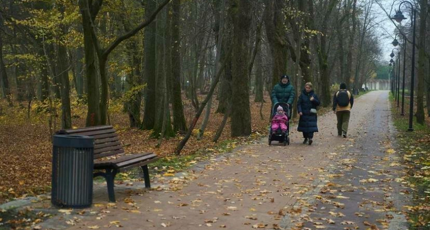 Трансформация завершена: В Калининграде появился обновленный парк для всех