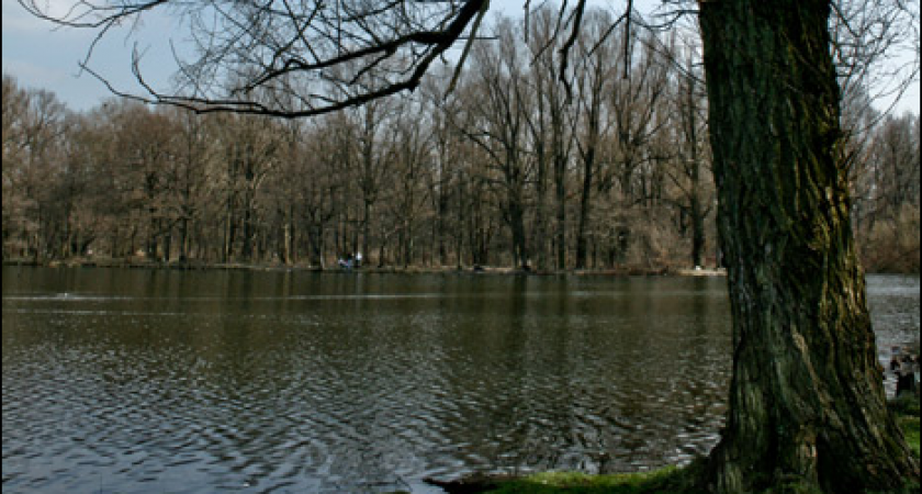 Ашманн-парк в Калининграде преобразился: завершены работы по благоустройству