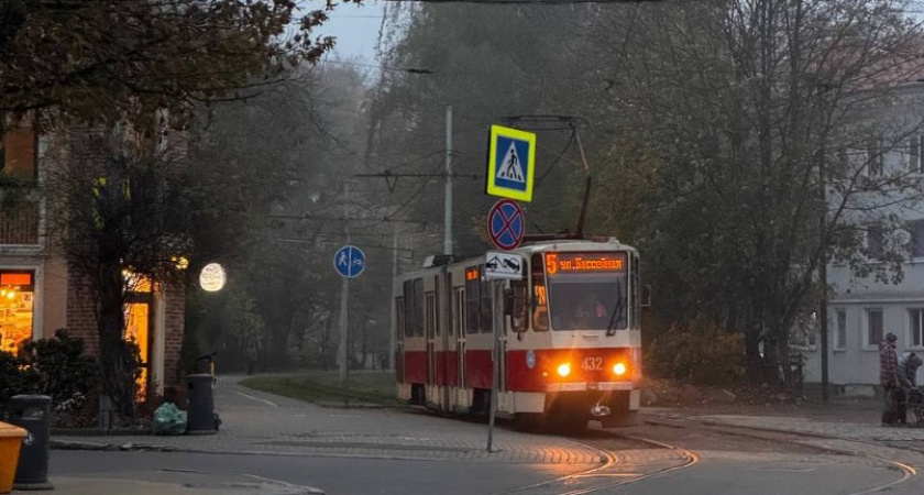 Дыхание зимы. Прогноз погоды в Калининграде на 11 ноября