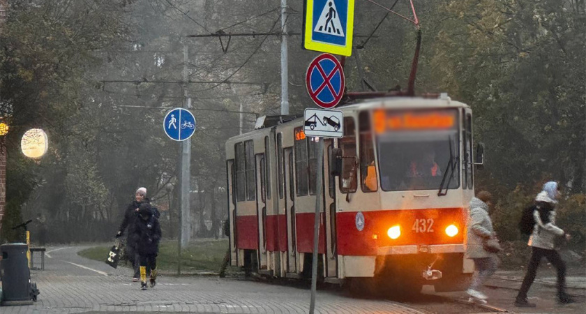 Трамвай будет жить: как калининградцы борются за сохранение этого исторического трамвайного маршрута