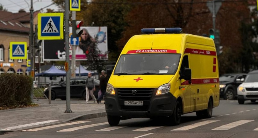 Кислота вместо мыла: что случилось с калининградкой и ее дочкой из-за опасного совета в питомнике