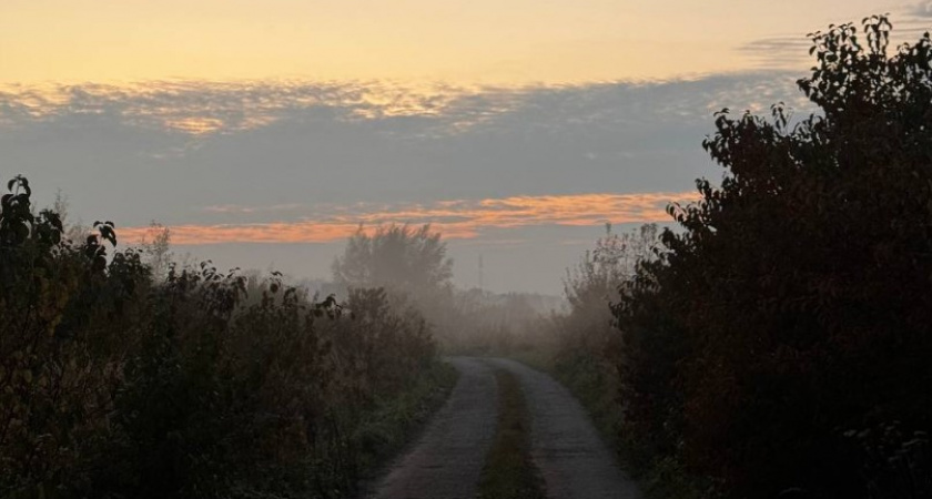 Дыхание Атлантики. Прогноз погоды в Калининграде на 15 ноября