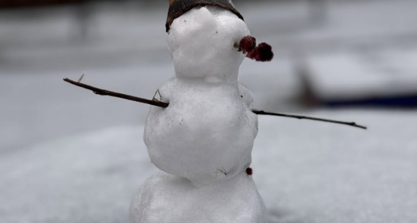 Подробный прогноз погоды на выходные дни в Калининграде и области