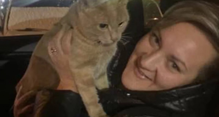 Девочки похитили кота из магазина, но история завершилась чудом: Как тысячи людей спасали пропавшего кота