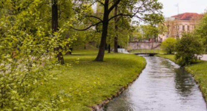 Экологическое чудо: как в Калининграде возрождают Литовский ручей