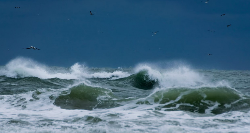 Погружение в природный ад. Прогноз погоды в Калининграде на 18 ноября