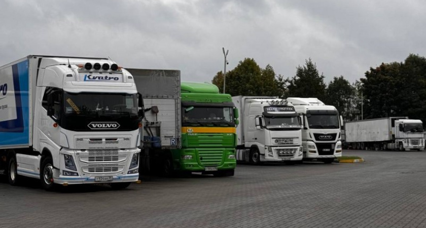 Калининградские перевозчики рассказали о серьезных минусах электронной очереди на границе