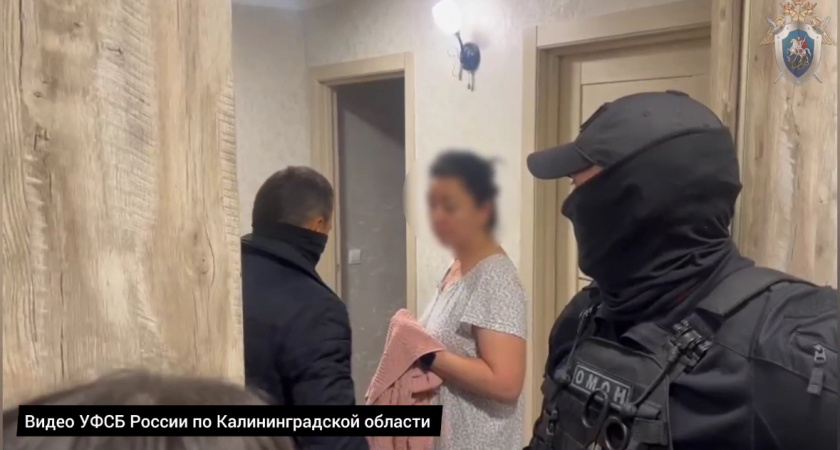 Следователи из Калининграда выявили факт мошенничества в крупном размере с «Пушкинской картой» 