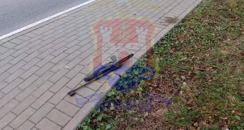 Стрельба по собаке в Багратионовском районе: в деле разбирается полиция