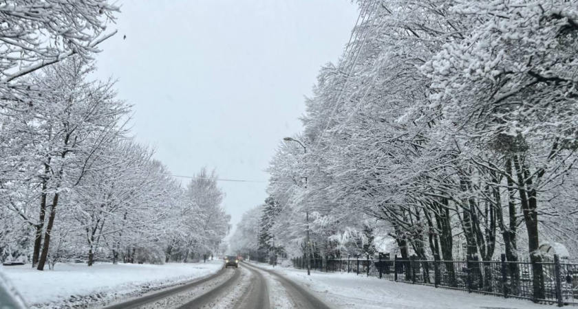 Снег в Калининграде: прогнозы синоптиков на ближайшее время 