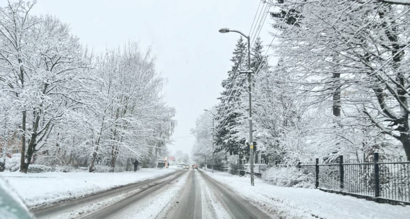 Зима на пороге. Прогноз погоды в Калининграде на 22 ноября