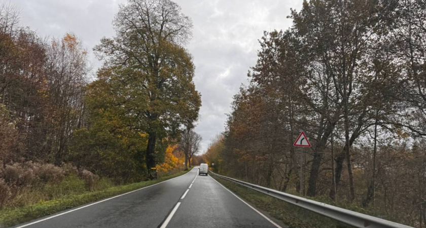 Возвращение в осень. Прогноз погоды в Калининграде на 25 ноября