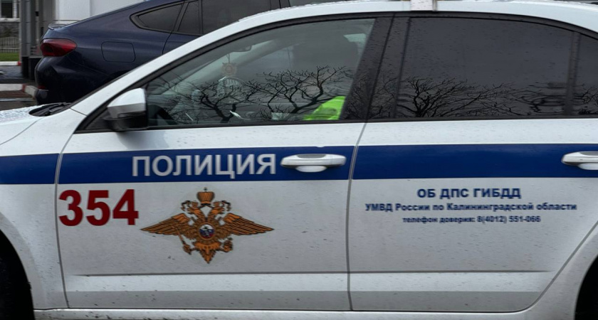 Строительный уровень вместо аргументов: в Зеленоградске мебельщик пострадал от рук заказчика