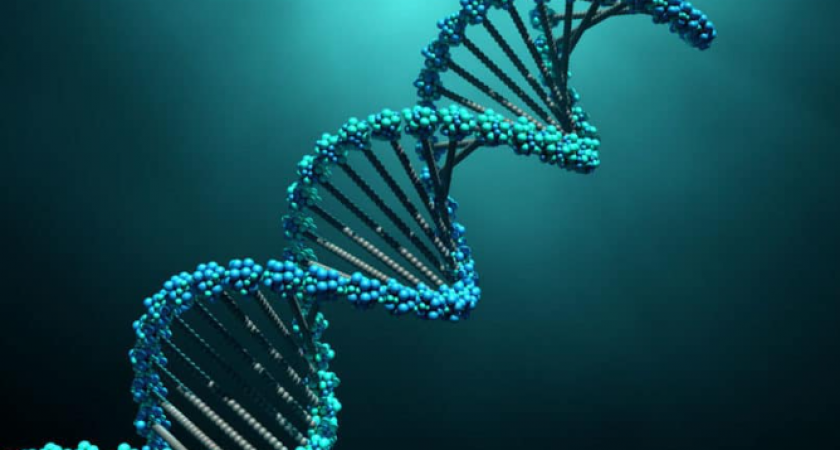 Россияне массово изучают ДНК: почему генетики стали популярнее диетологов