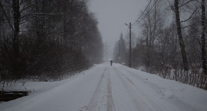 Температурные качели: главный синоптик страны сделал прогноз на эту зиму в России