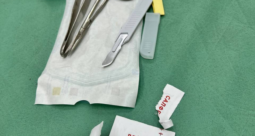 После укуса собаки родители ребенка через суд взыскали компенсацию за лечение: кто понес ответственность