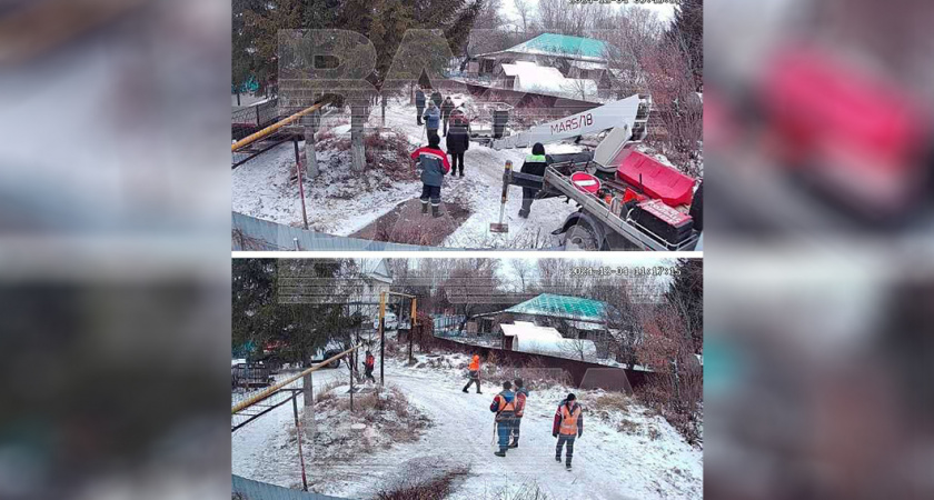 Срубили елочку под самый корешок: как в Уфе чиновники присвоили новогоднее дерево местной жительницы