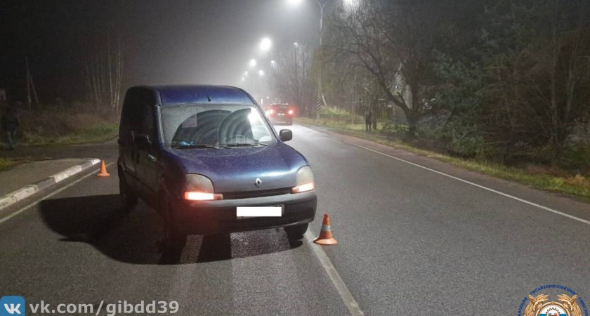 В Калининградской области ребенок попал под колеса автомобиля по вине своего друга