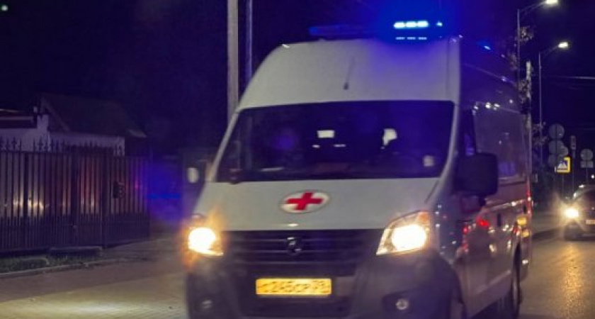 Ледяная вода не стала помехой: как калининградка хотела спасти своего добермана из реки рядом с островом Канта