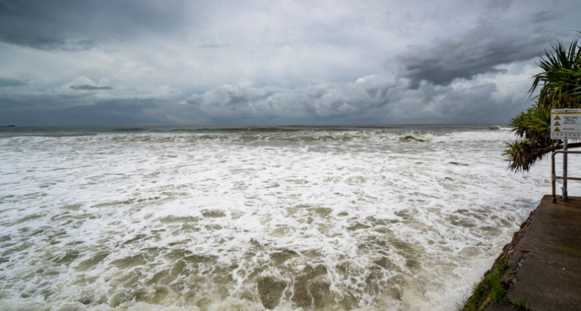 Штормовое предупреждение в Калининграде: как защититься от сокрушительного ветра