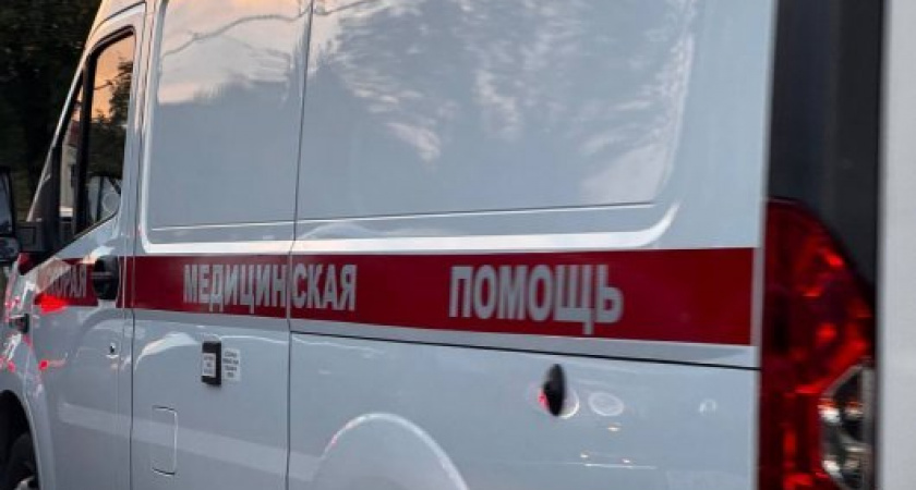 Агрессивная собака набросилась на ребенка на Куйбышева в Калининграде. Подробности