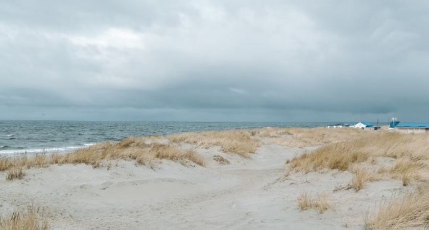 Вернулись в осень. Прогноз погоды в Калининграде на 19 декабря