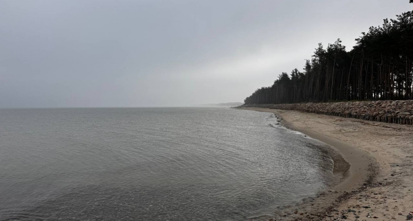 Циклоны сместятся. Прогноз погоды в Калининграде на 23 декабря