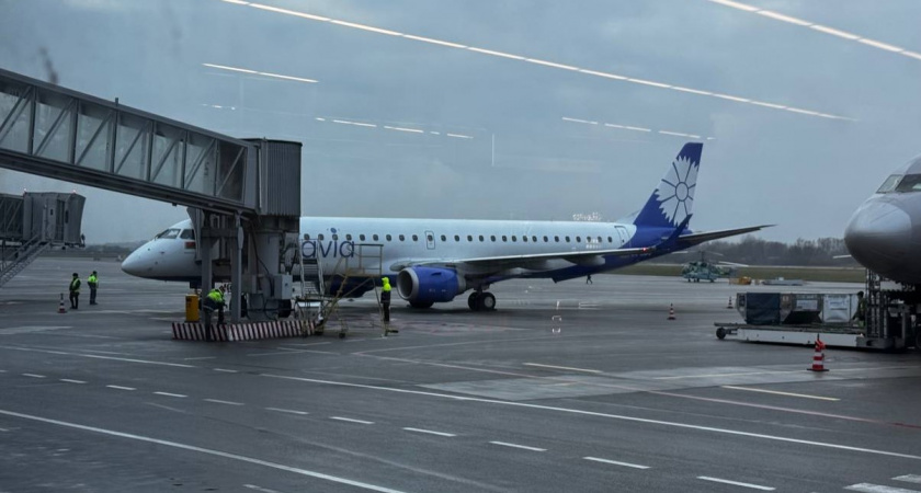 Праздник на высоте: сколько россиян встретят 2025 год в самолете