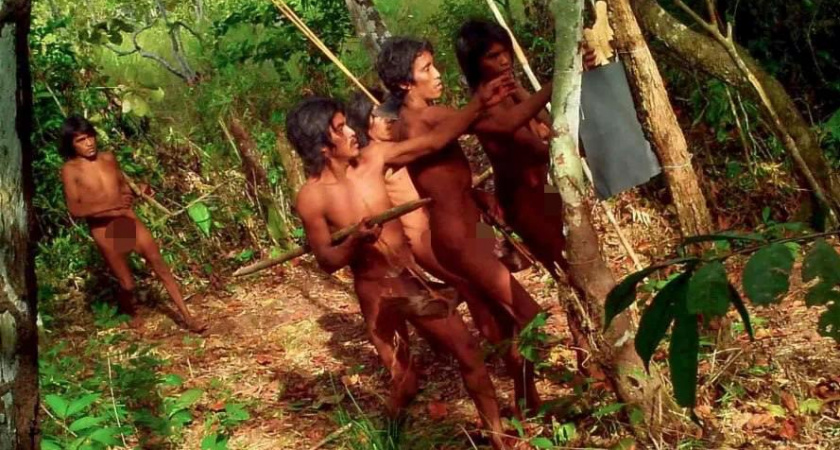 Самые малоизученные жители земли попали в объектив камеры: что удалось запечатлеть ученым