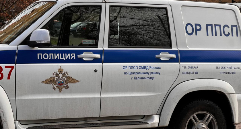 В Калининграде подросток ранил ровесника из пневматического пистолета: что произошло