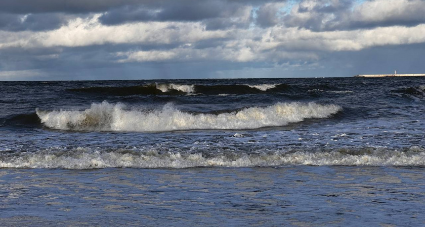 Калининградским рыбакам урезали квоты на кильку и леща: что это значит для региона