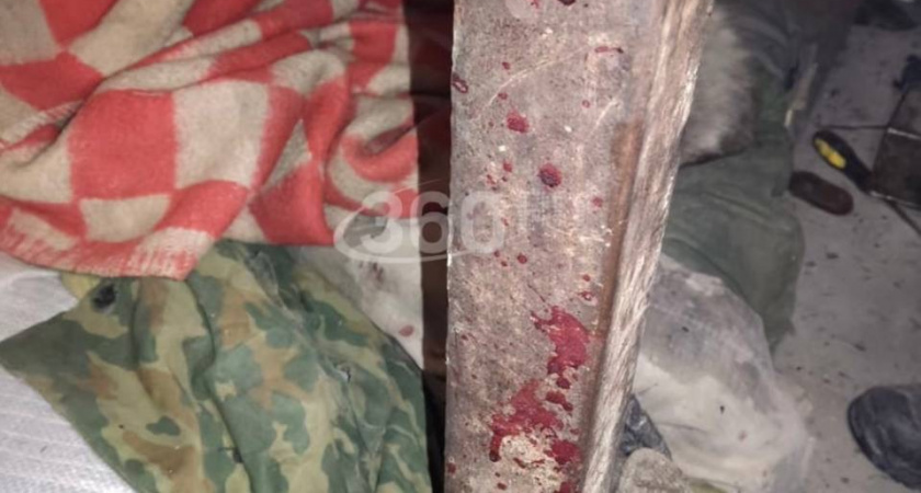В сети появились шокирующие подробности истязания кошек и собак на хуторе в Краснодарском крае 