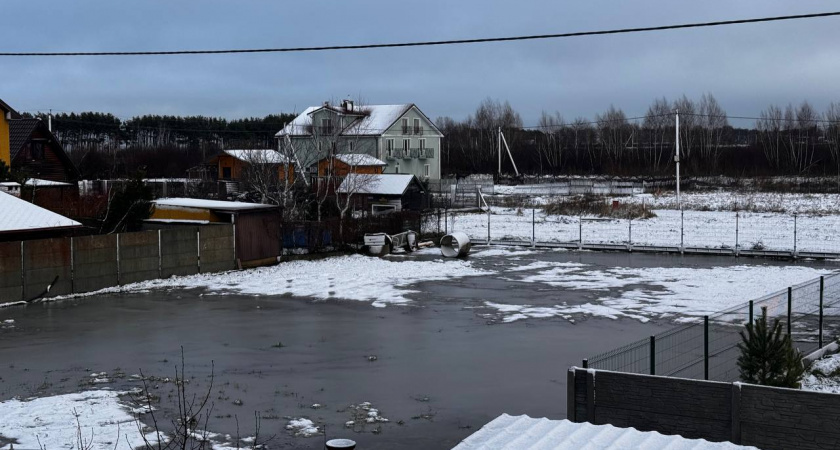 Потоп в СНТ «Светлогорское»: как дожди превратили сады в озёра