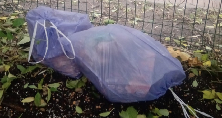 Суд запретил британцу искать на свалке жесткий диск с состоянием на 730 миллионов долларов