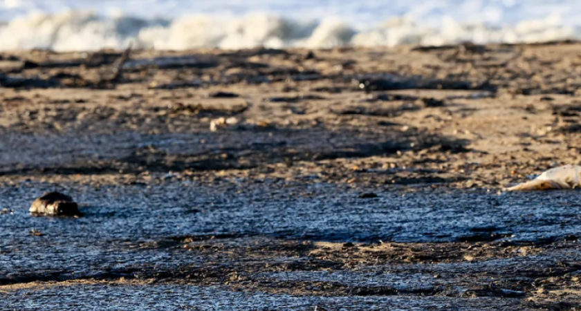 Анапа после разлива мазута: что ждёт туристов летом 2025 года и стоит ли ехать в этот туристический сезон 