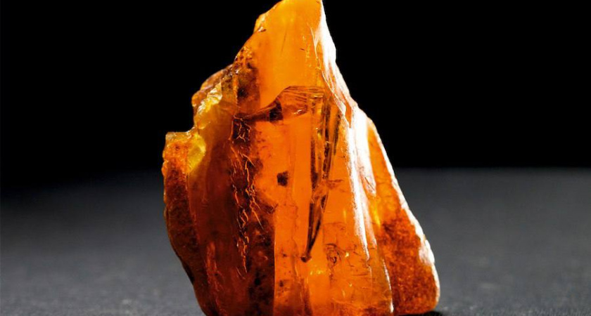 50 миллионов лет: Калининградский янтарный комбинат показал фото древнейшего солнечного камня