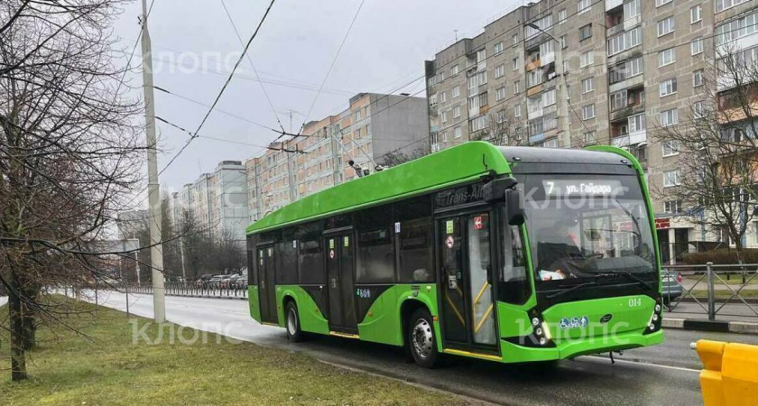 В Калининграде начали работу два современных троллейбуса «Авангард»