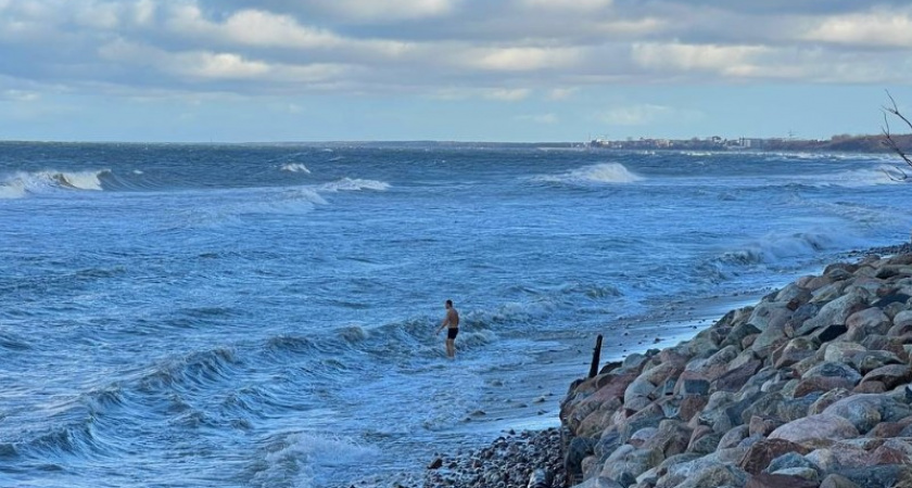 Продолжение весеннего января. Прогноз погоды в Калининграде на 24 января