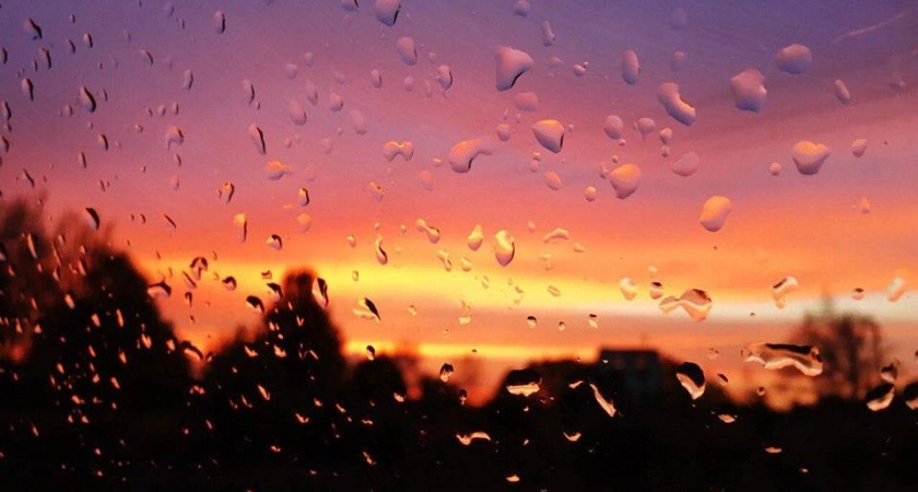 Дожди, тепло и возможные рекорды: что ждет Калининградскую область в ближайшие часы