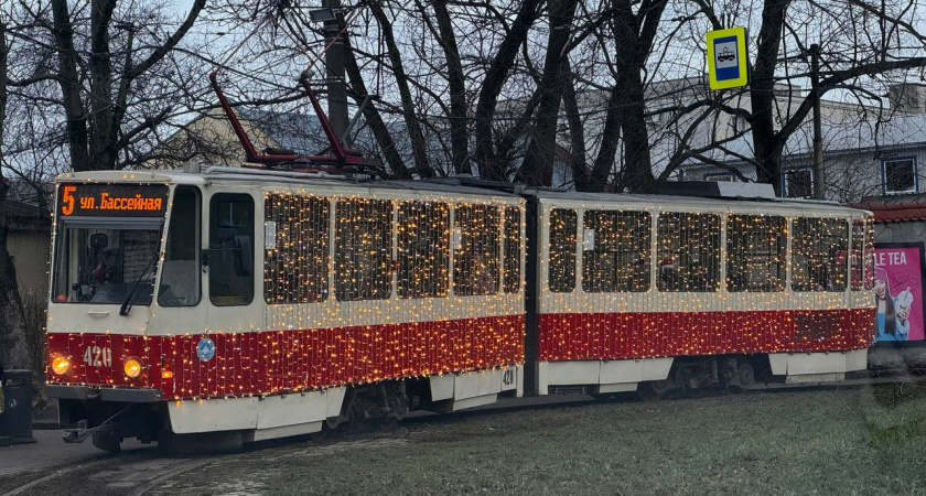 Январская аномалия: что случилось с погодой в Калининграде?