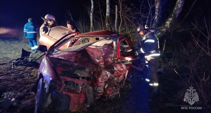 От удара разорвало обе машины: подробности смертельного ДТП под Приморском и кадры с места