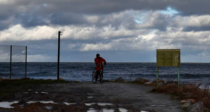 Перед возвращением зимы. Прогноз погоды в Калининграде на 30 января