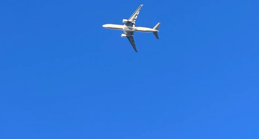 Избежал смерти благодаря псу: американец не попал на борт упавшего самолета, новые подробности авиакатастрофы